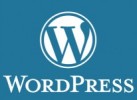 WordPress Newsletter Plugin